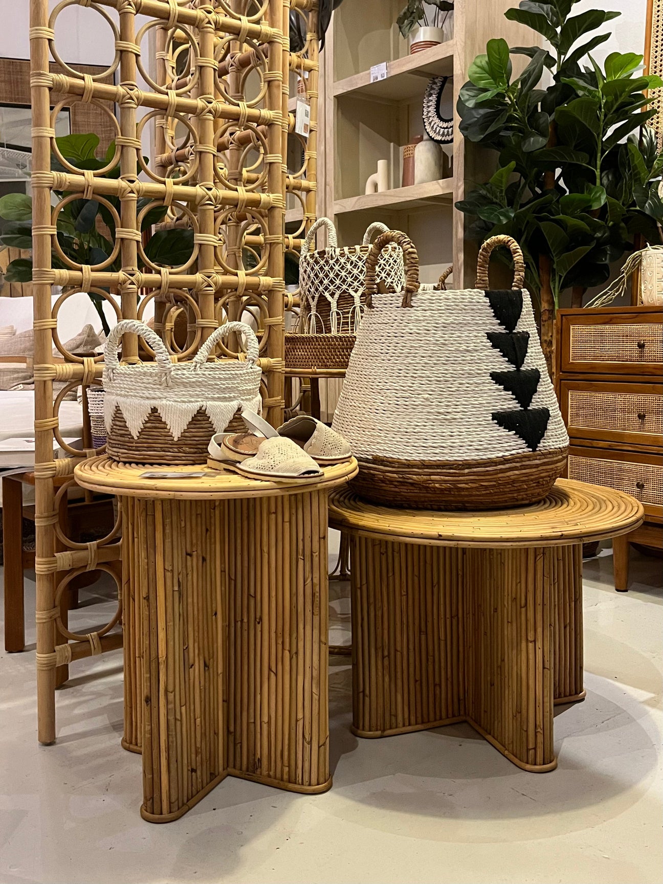 Collections – Rooma SG
